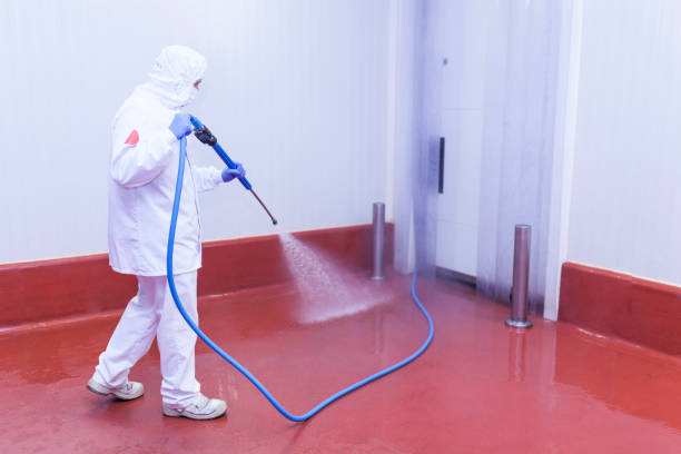 Best Pre-Holiday Cleaning  in St Cloud, MN